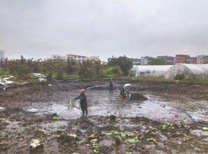 鸡西河道鱼塘清淤